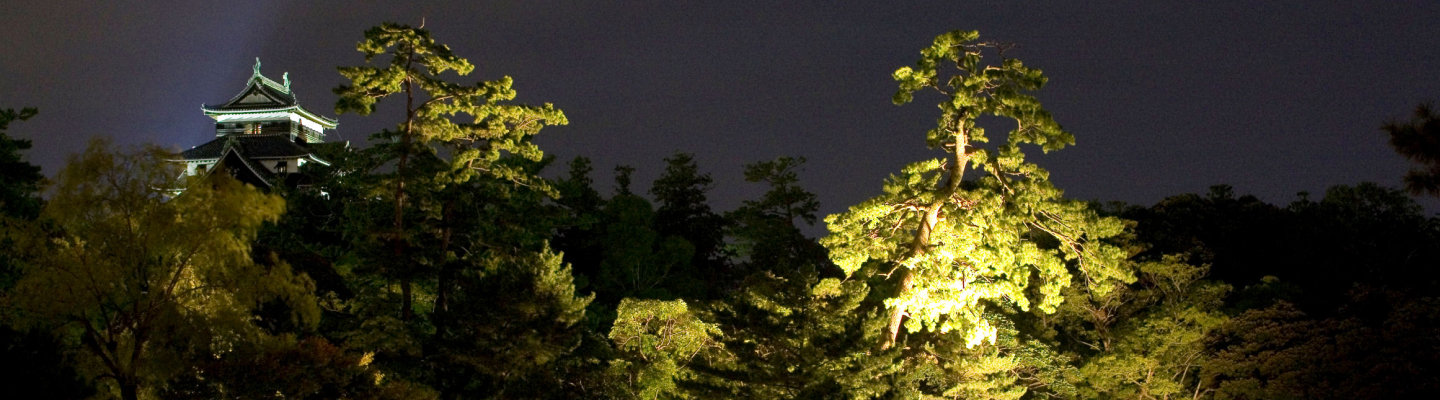 Slider Image 1